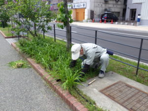 6月3日のお助け隊の活動の写真