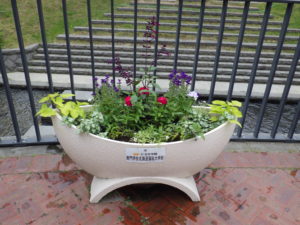 吉田学園の寄贈による狸二条広場の舟形コンテナに植えられた花の写真