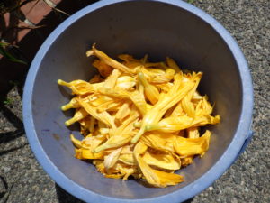 ヘメロカリスのマリートッドの花壇の摘んだ花がらの写真