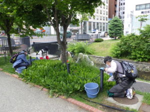 7月1日のお助け隊の活動で花壇の除草をする様子