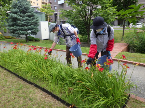 「夏のさかり7月8月の公園ボランティア活動」の画像