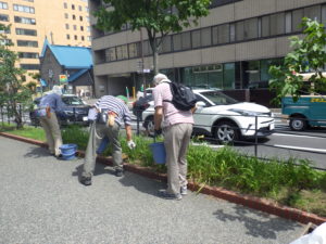 8月18日の植物ボランティアでヘメロカリスの茎刈りをする様子