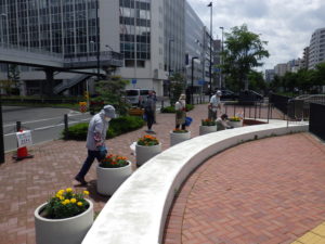 7月9日の花くらぶの活動で大通ブロックのコンテナの花がら摘みをする様子
