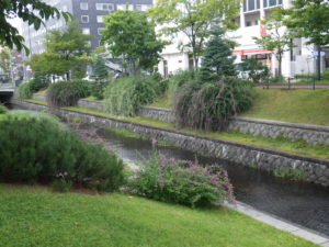 9月14日の南1条のハギの様子