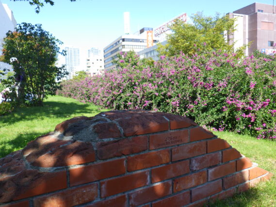 「ハギが見頃です」の画像