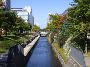 南1条の川に沿って植えられたハギが満開の様子