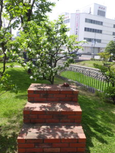 団塚栄喜氏の彫刻作品「カモカモステップ」