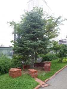 団塚栄喜氏の彫刻作品「クリスマスプレゼントフロムサッポロ」