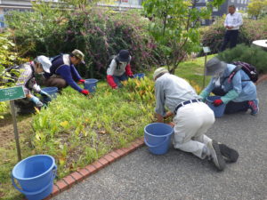 9月30日のお助け隊でスズラン花壇の除草をする様子