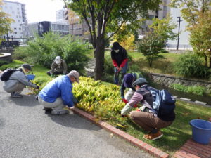 スズランを刈り込むお助け隊