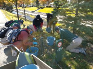 10月21日の活動でスズランの刈り取りをするお助け隊