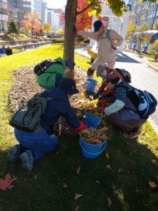 10月28日の活動でスズランの刈り取りをするお助け隊