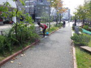 10月10日に公園の南1条でベンチの清掃をする企業ボランティア
