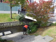 10月10日に公園の南3条でごみ拾いをする企業ボランティア