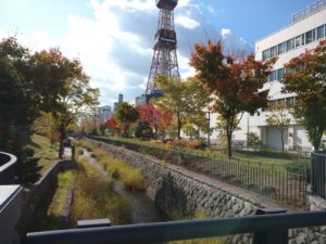 ハギの刈込が終わった北1条