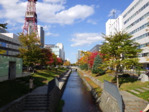 ハギの刈込が終わった南1条