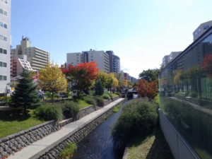 紅葉した南2条の様子