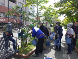 10月6日に笠先生のライラック剪定の指導を受ける植物ボランティア