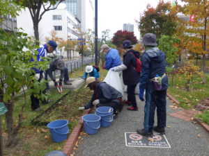 10月27日の活動でスズランの刈り取りをする植物ボランティア