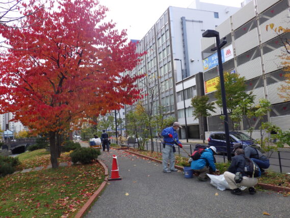 「公園ボランティアの今年度の外作業が終了」の画像