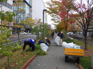 10月27日の活動でスズランの刈り取りをする植物ボランティア