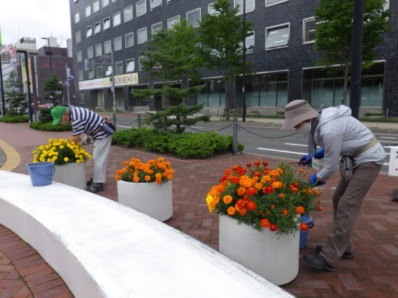 「9月のボランティア活動」の画像