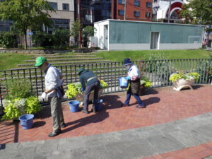 9月24日の花くらぶの活動で狸二条コンテナのお手入れをする様子