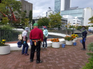 まんなか広場のコンテナの花がら摘みをする花くらぶ