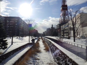 12月27日の北1条の様子