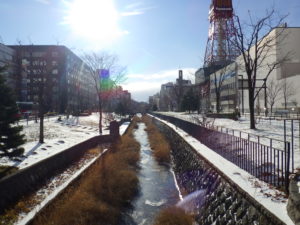 12月15日の北1条の様子