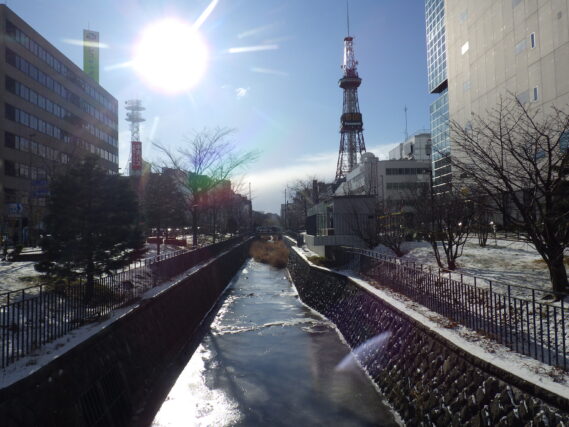 「真冬の寒さの公園内」の画像