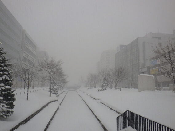 「吹雪の園内」の画像