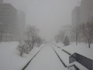 吹雪の南2条の様子