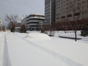 2月13日の南2条天秘が雪をかぶった様子