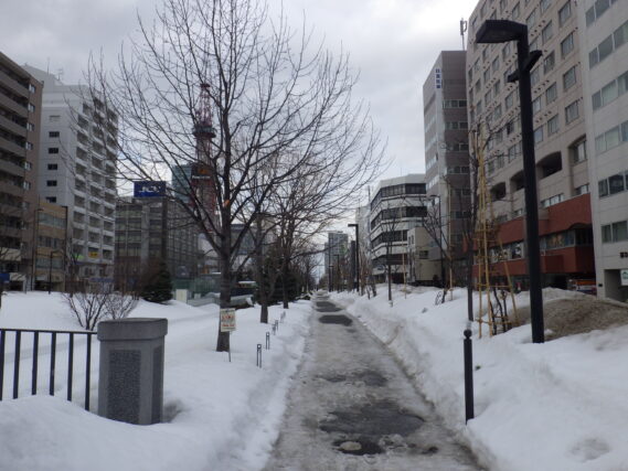 「1年前とは違う景色の公園内」の画像
