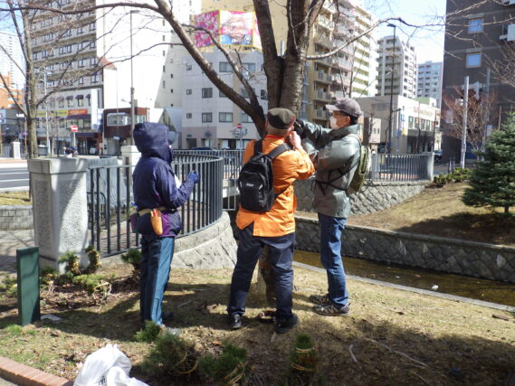 「植物ボランティア活動開始」の画像