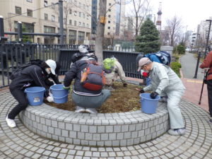 4月14日のお助け隊で円形桝の除草をするボランティアさん