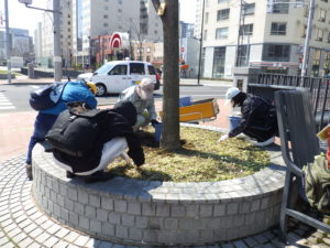 4月21日のお助け隊で円形桝の除草をするボランティアさん