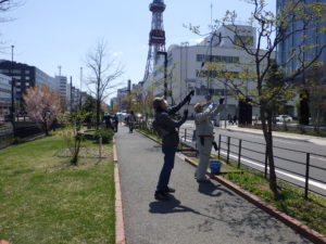 4月27日の植物ボランティアの活動でライラックの剪定をするボランティア