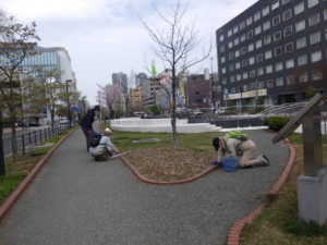 4月28日のお助け隊の活動で園路の除草をするボランティア