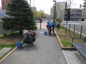 4月28日のお助け隊の活動で園路の除草をするボランティア