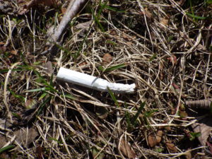 公園に捨てられたタバコの吸い殻