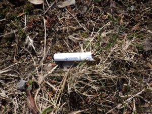 公園に捨てられたタバコの吸い殻