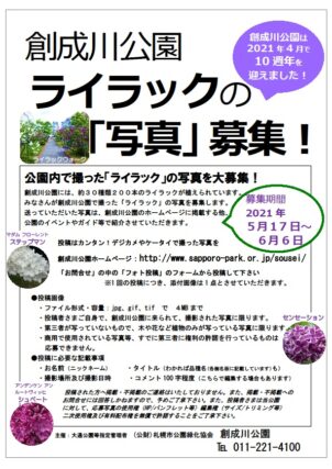 「創成川公園ライラックの写真募集」の画像
