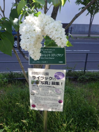 「23日から25日の間に写真投稿できなかった皆様へお詫び」の画像