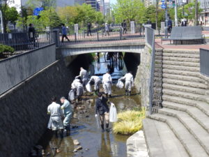 5月12日に行われた弱電組合の川の清掃活動の様子4