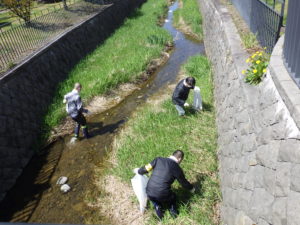 5月12日に行われた弱電組合の川の清掃活動の様子5