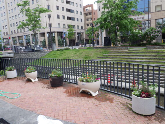 「吉田学園さんからのご寄付コンテナ花苗の植込み」の画像