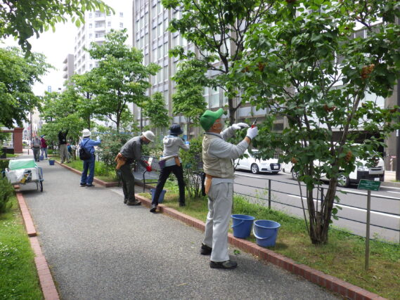 「ライラックの花がら摘み終了」の画像