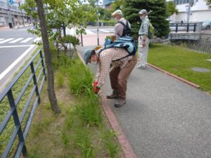 6月30日にヘメロカリスの花名札の取り付けをするお助け隊